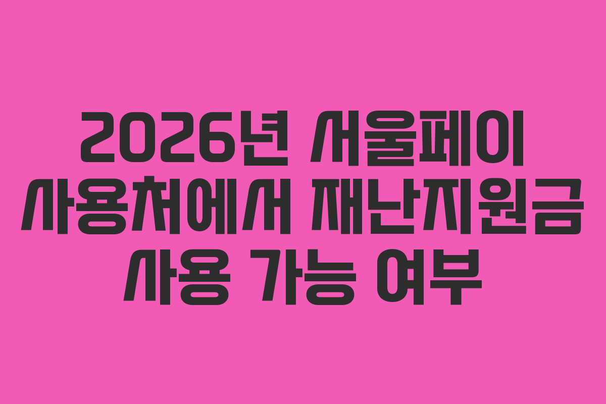 2026년-서울페이-사용처에서-재난지원금-사용-가능-여부