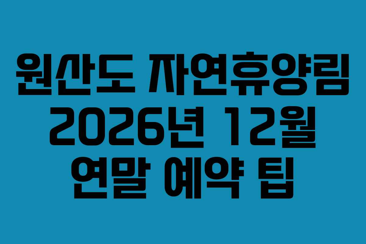 원산도 자연휴양림 2026년 12월 연말 예약 팁