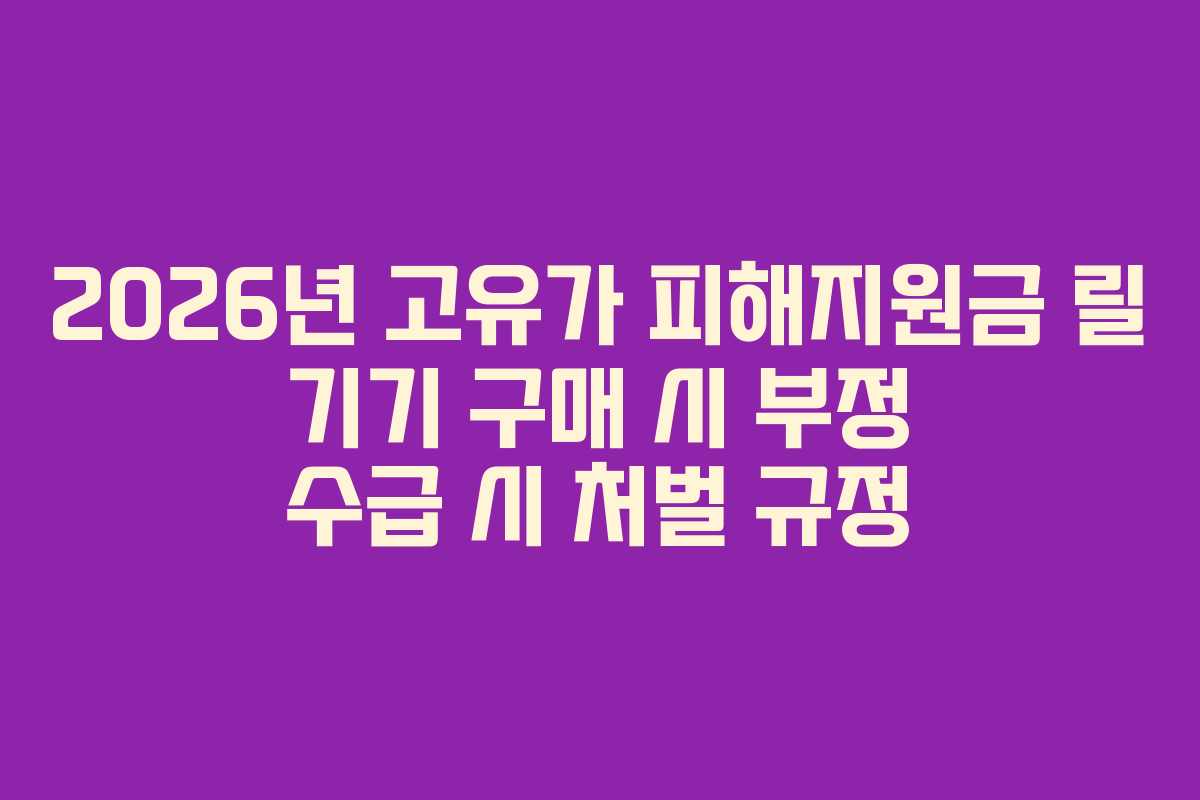 2026년 고유가 피해지원금 릴 기기 구매 시 부정 수급 시 처벌 규정