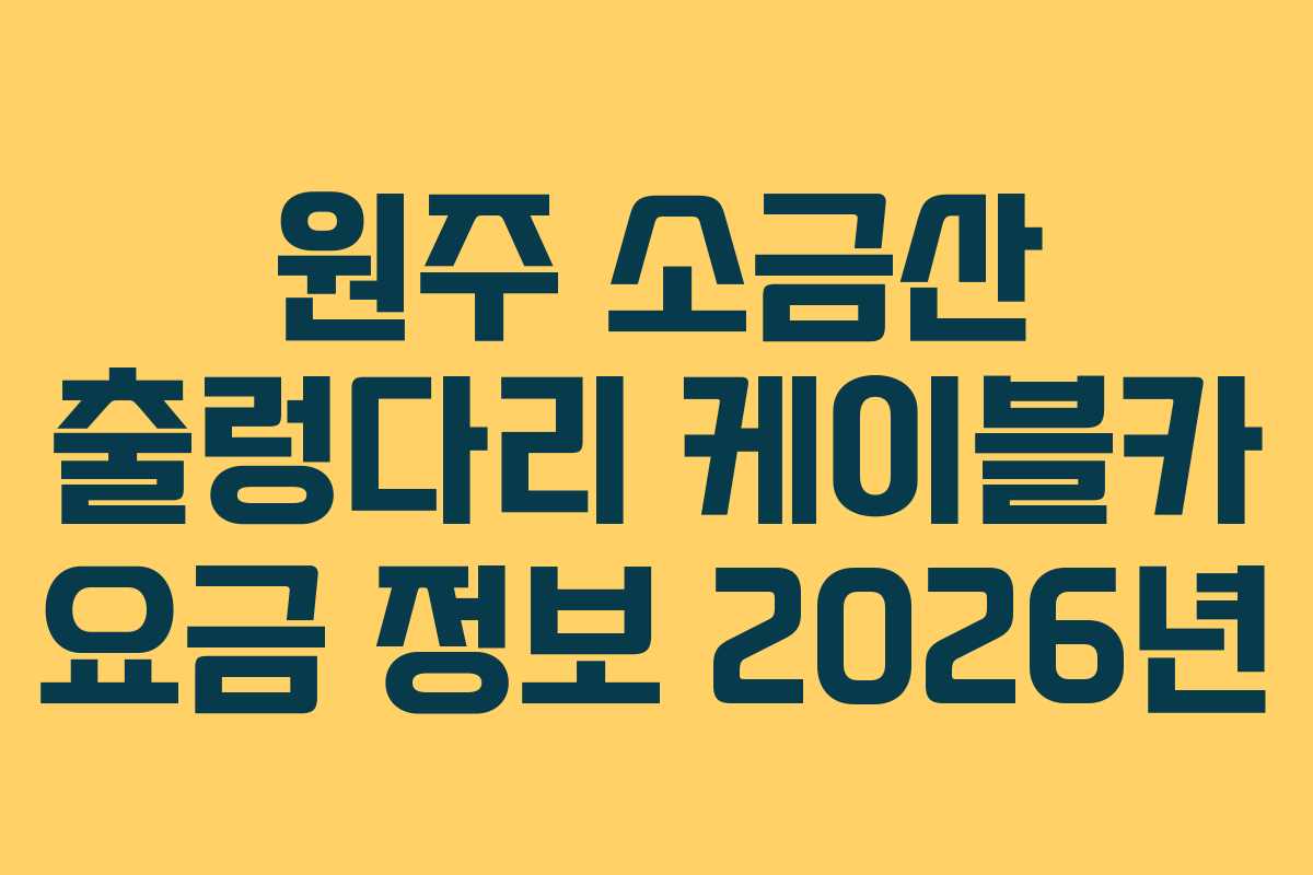 원주 소금산 출렁다리 케이블카 요금 정보 2026년