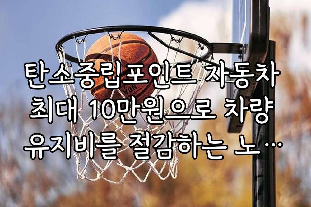 탄소중립포인트 자동차 최대 10만원으로 차량 유지비를 절감하는 노하우