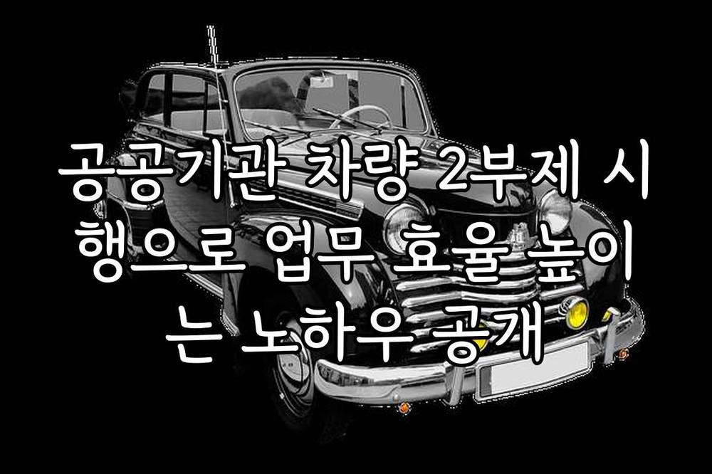 공공기관 차량 2부제 시행으로 업무 효율 높이는 노하우 공개