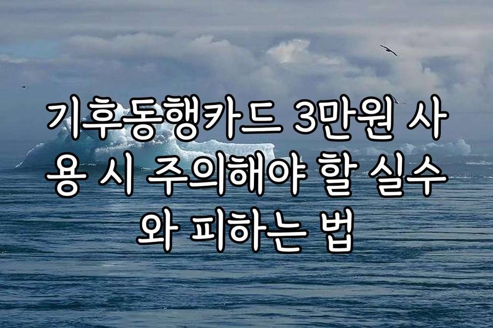 기후동행카드 3만원 사용 시 주의해야 할 실수와 피하는 법