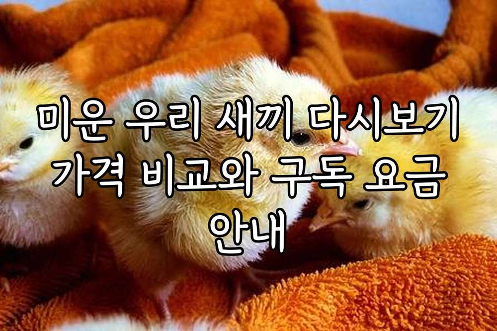 미운 우리 새끼 다시보기 가격 비교와 구독 요금 안내