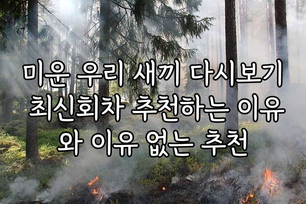 미운 우리 새끼 다시보기 최신회차 추천하는 이유와 이유 없는 추천