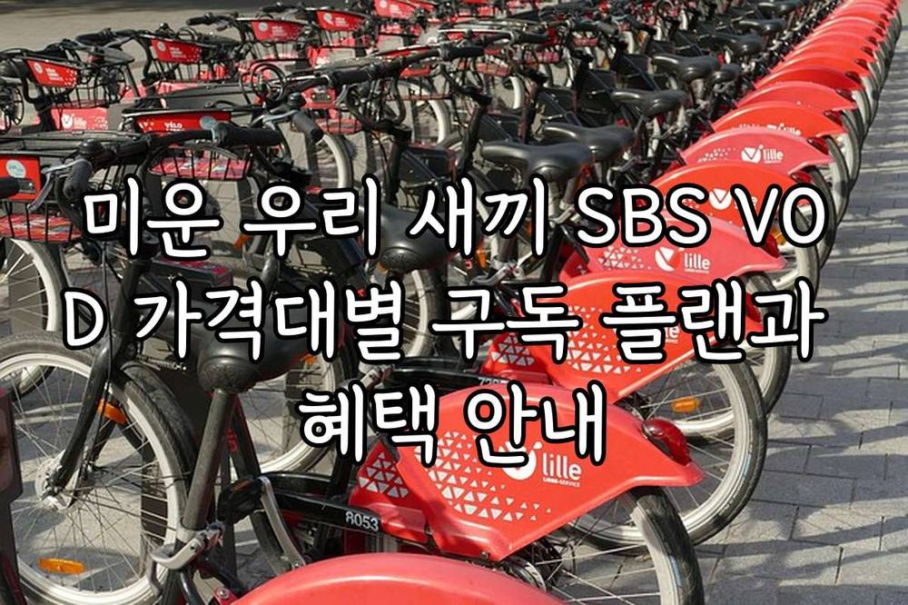 미운 우리 새끼 SBS VOD 가격대별 구독 플랜과 혜택 안내