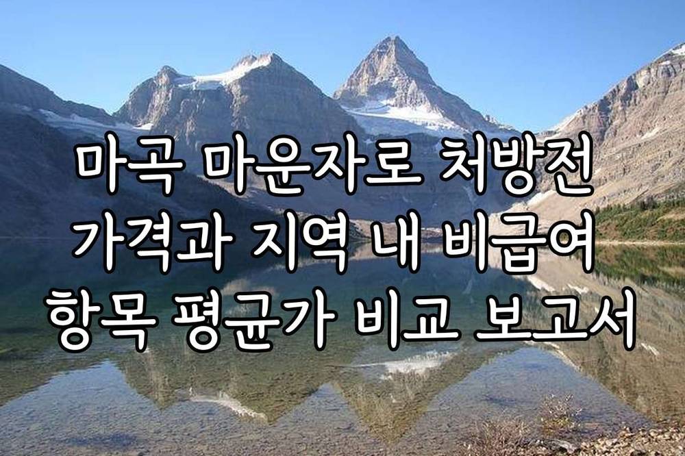 마곡 마운자로 처방전 가격과 지역 내 비급여 항목 평균가 비교 보고서