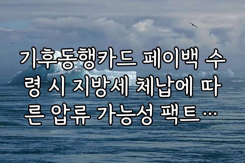 기후동행카드 페이백 수령 시 지방세 체납에 따른 압류 가능성 팩트체크