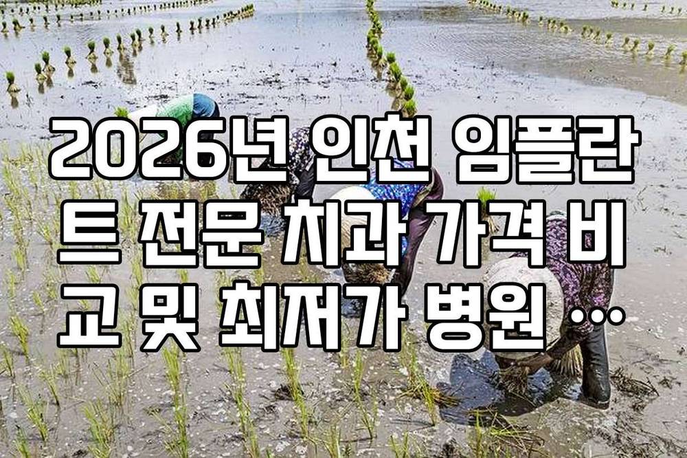 2026년 인천 임플란트 전문 치과 가격 비교 및 최저가 병원 가이드