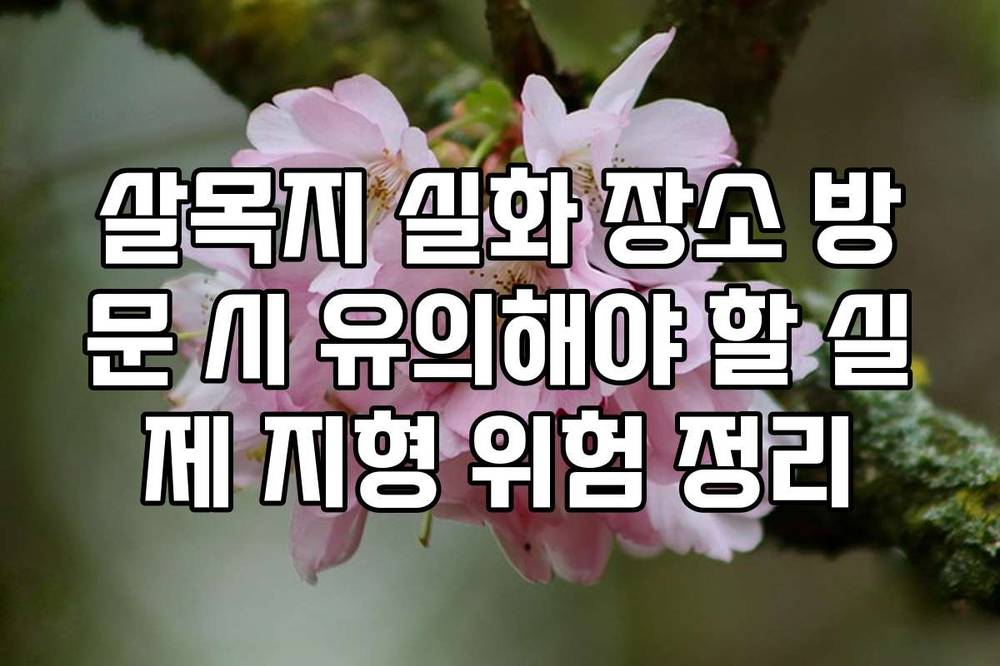 살목지 실화 장소 방문 시 유의해야 할 실제 지형 위험 정리