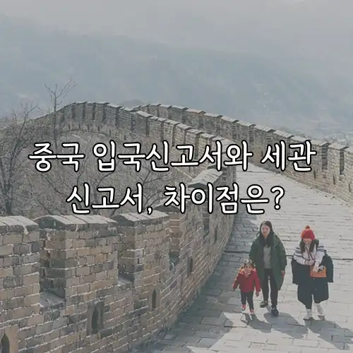 중국 입국신고서와 세관 신고서, 차이점은?