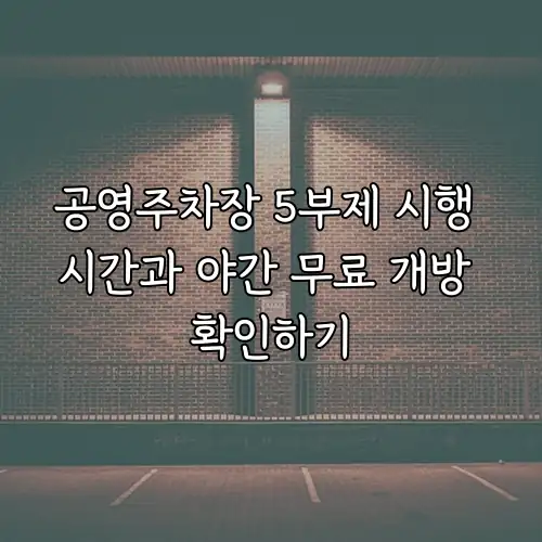 공영주차장 5부제 시행 시간과 야간 무료 개방 확인하기