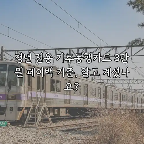 청년 전용 기후동행카드 3만원 페이백 기준, 알고 계셨나요?