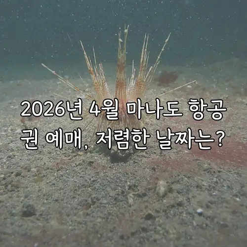 2026년 4월 마나도 항공권 예매, 저렴한 날짜는?