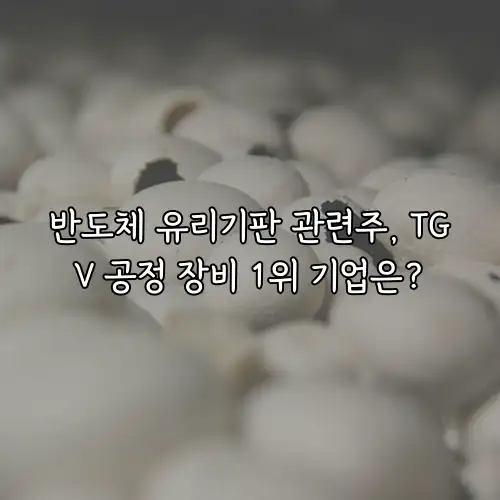 반도체 유리기판 관련주, TGV 공정 장비 1위 기업은?