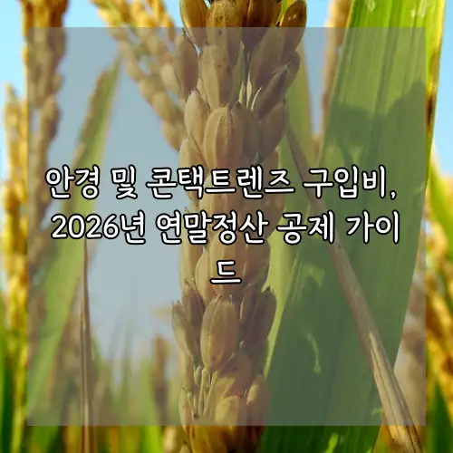 안경 및 콘택트렌즈 구입비, 2026년 연말정산 공제 가이드