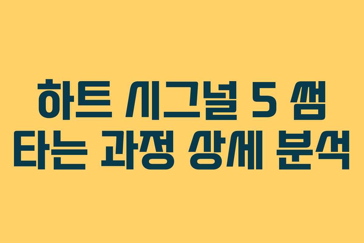 하트-시그널-5-썸-타는-과정-상세-분석