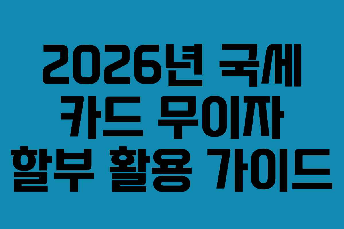2026년-국세-카드-무이자-할부-활용-가이드