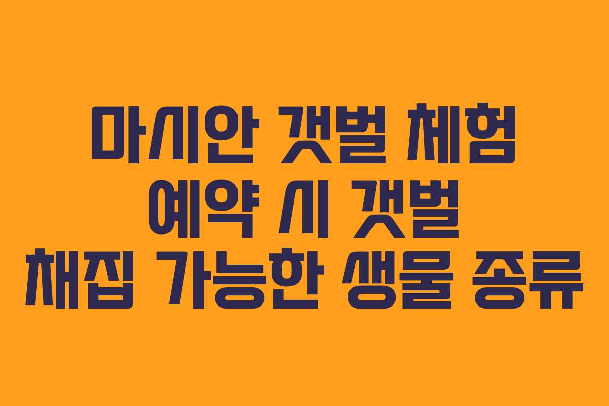 마시안-갯벌-체험-예약-시-갯벌-채집-가능한-생물-종류