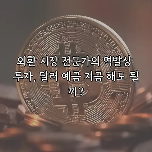 외환 시장 전문가의 역발상 투자, 달러 예금 지금 해도 될까?