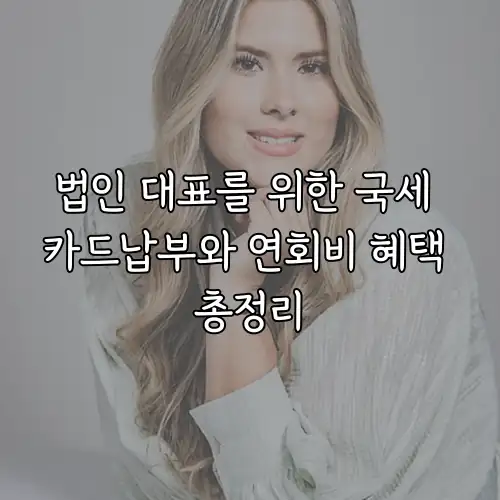 법인 대표를 위한 국세 카드납부와 연회비 혜택 총정리