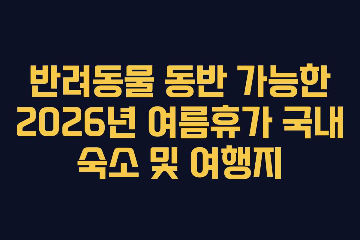반려동물-동반-가능한-2026년-여름휴가-국내-숙소-및-여행지