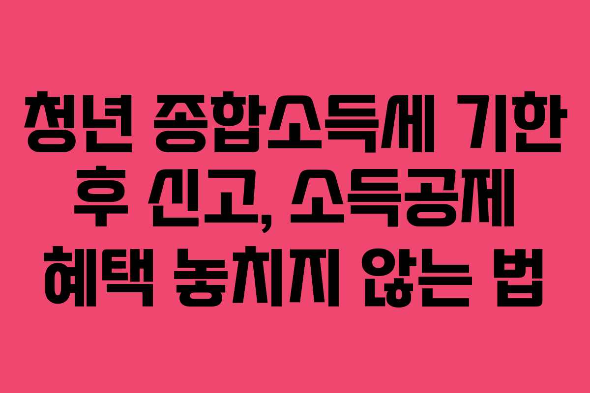 청년-종합소득세-기한-후-신고,-소득공제-혜택-놓치지-않는-법