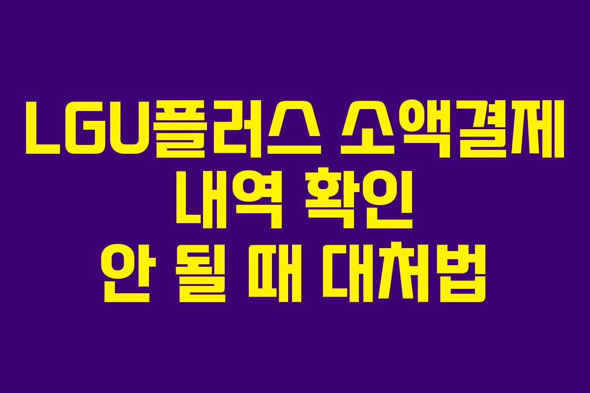 LGU플러스-소액결제-내역-확인-안-될-때-대처법