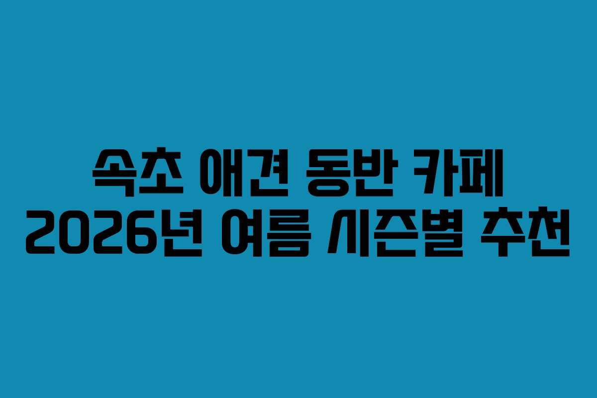 속초-애견-동반-카페-2026년-여름-시즌별-추천